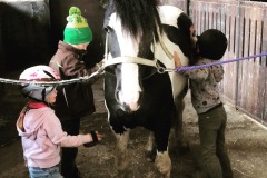 Ponyputzen