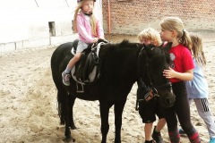 Ponyreiten-4