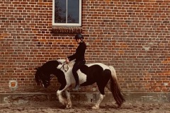 Ponyreiten-Molly
